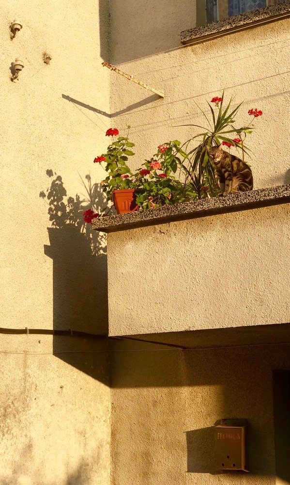 Photograph by Ольга Харлан