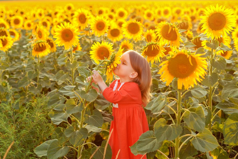 Photograph by Elena Hodos