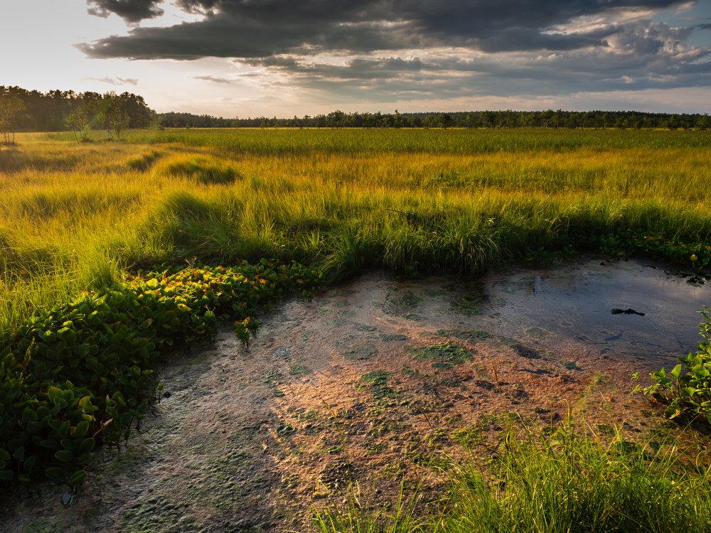 Кавголовское озеро.