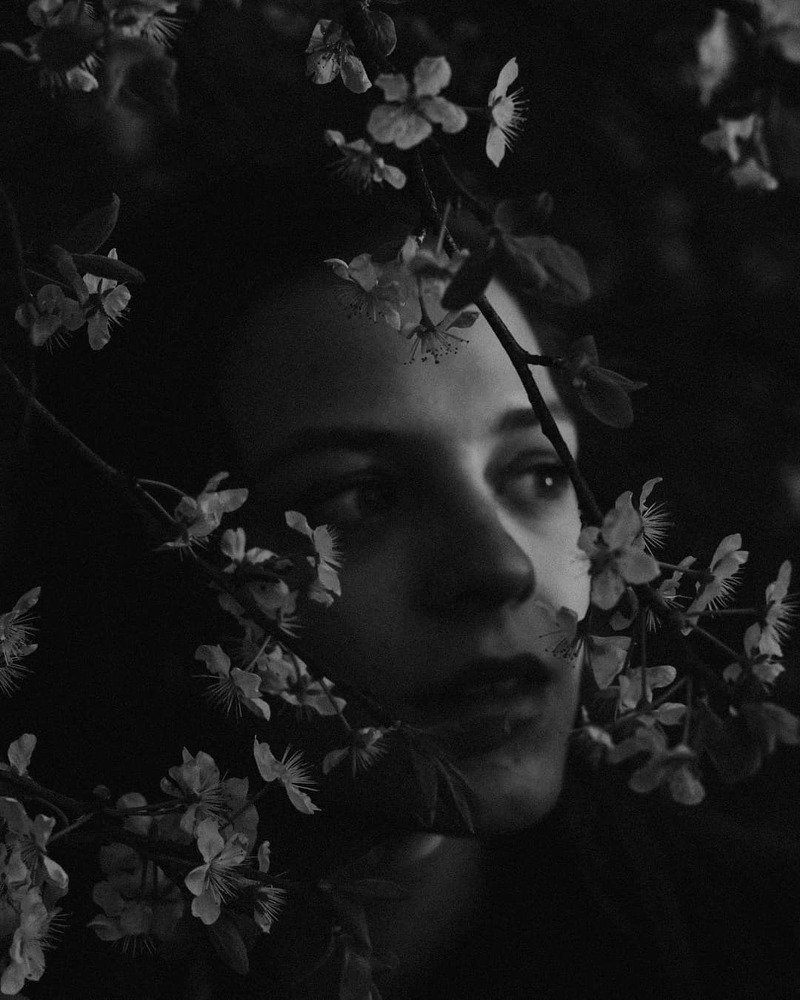 Photograph by Capata Iulia