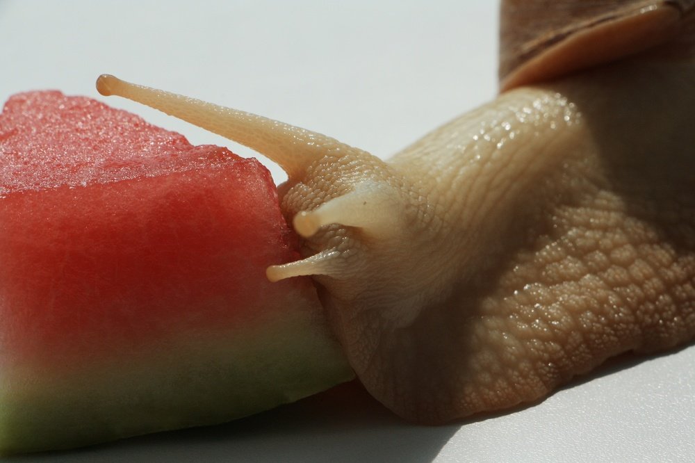 Столкновение