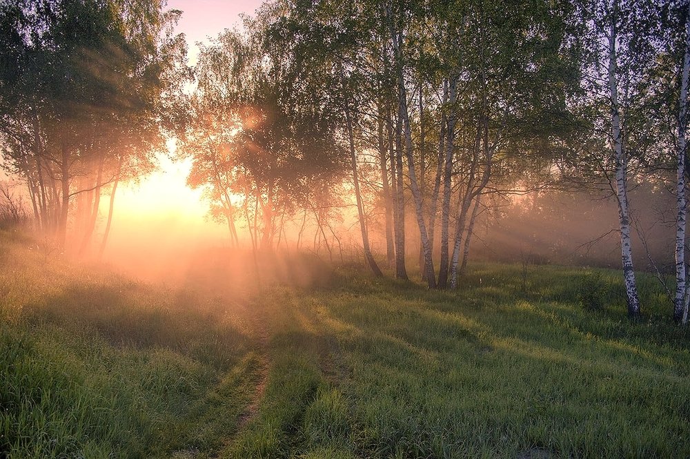 Рассыпалось солнце лучами