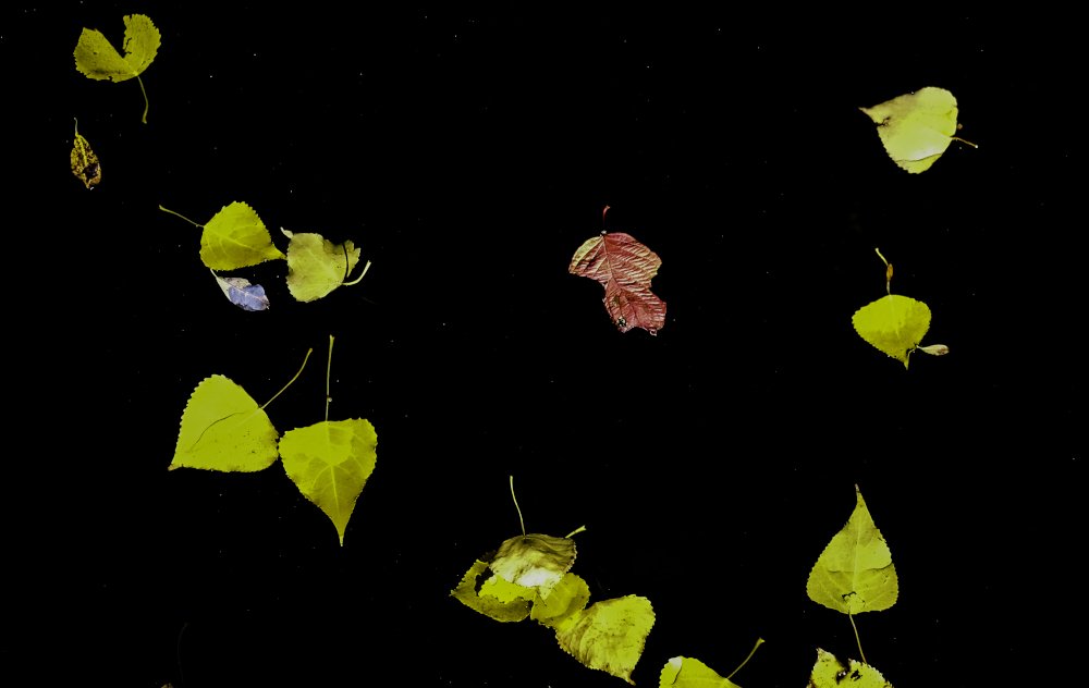 Choreography on the water