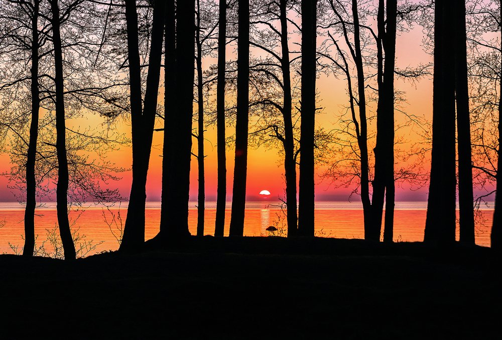 Photograph by Татьяна Молодочкина