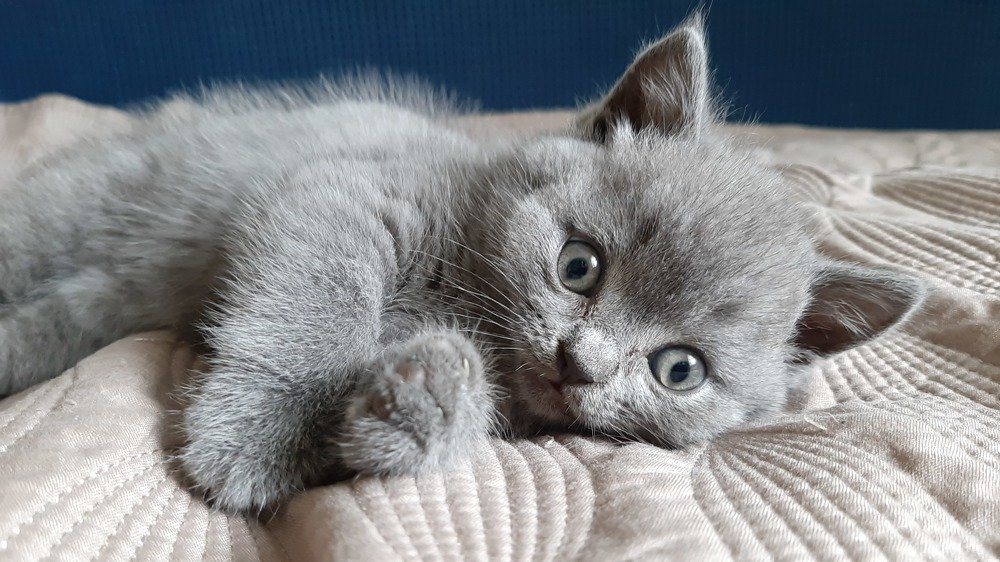 Фотография автора Александр Федоренко