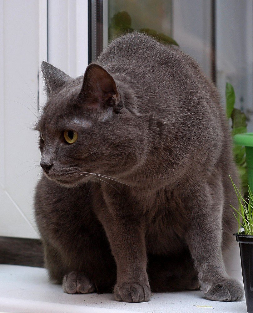 Фотография автора Геннадий Титов