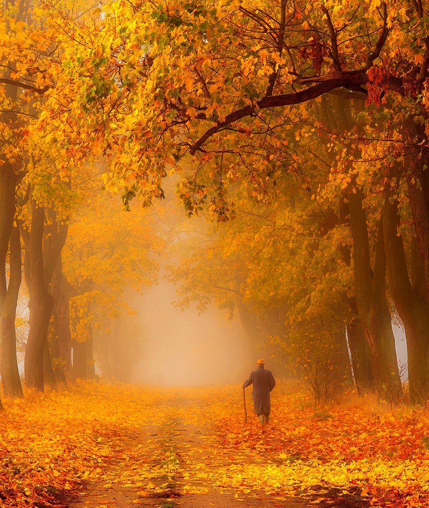 Pogodna jesień życia
