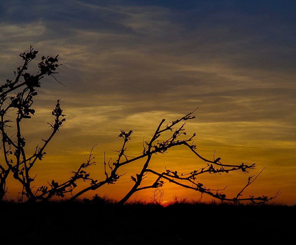 Sunset near Modogashe, Garissa County