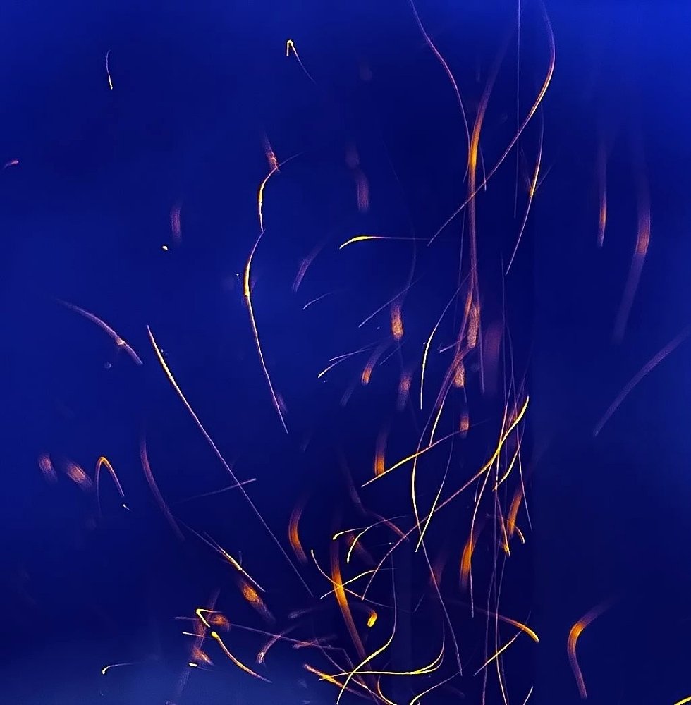 Расплавленные частицы карбида вольфрама