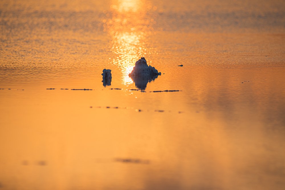 Золото Эльтона