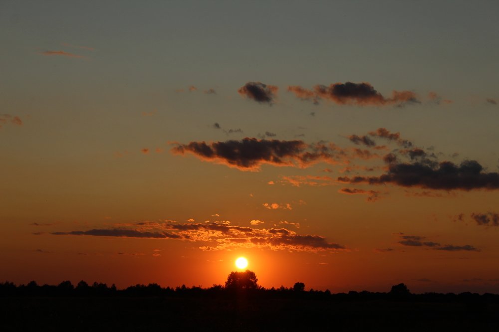 За дубняком