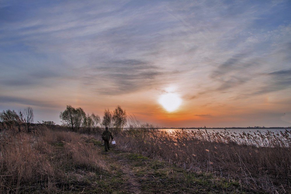 Photograph by Александра Шайдурова