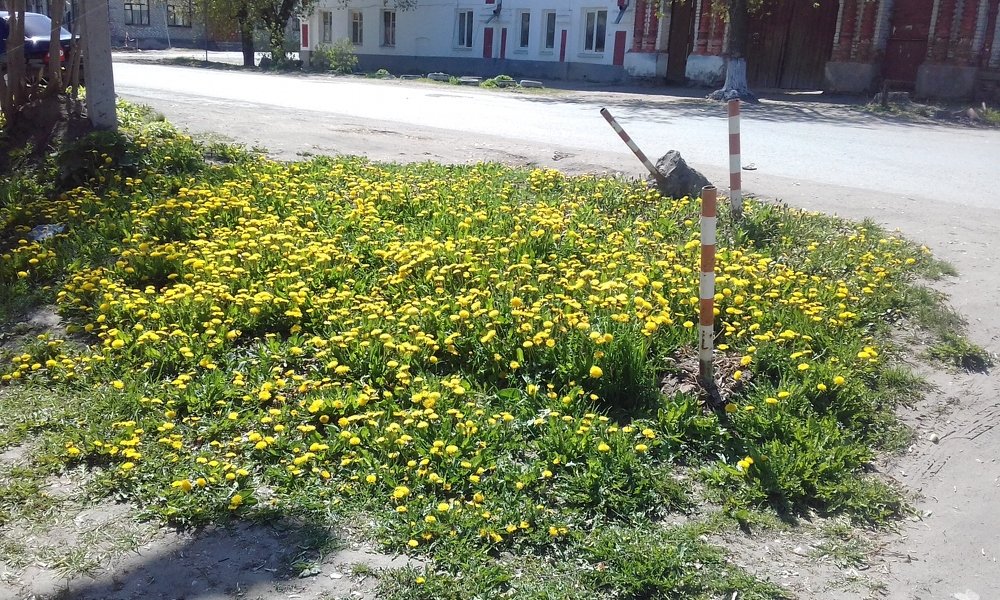 Photograph by Лида