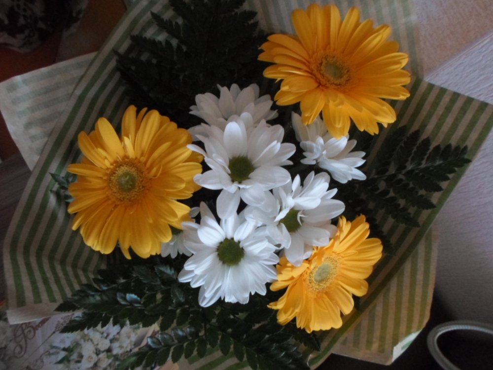 Photograph by Лида