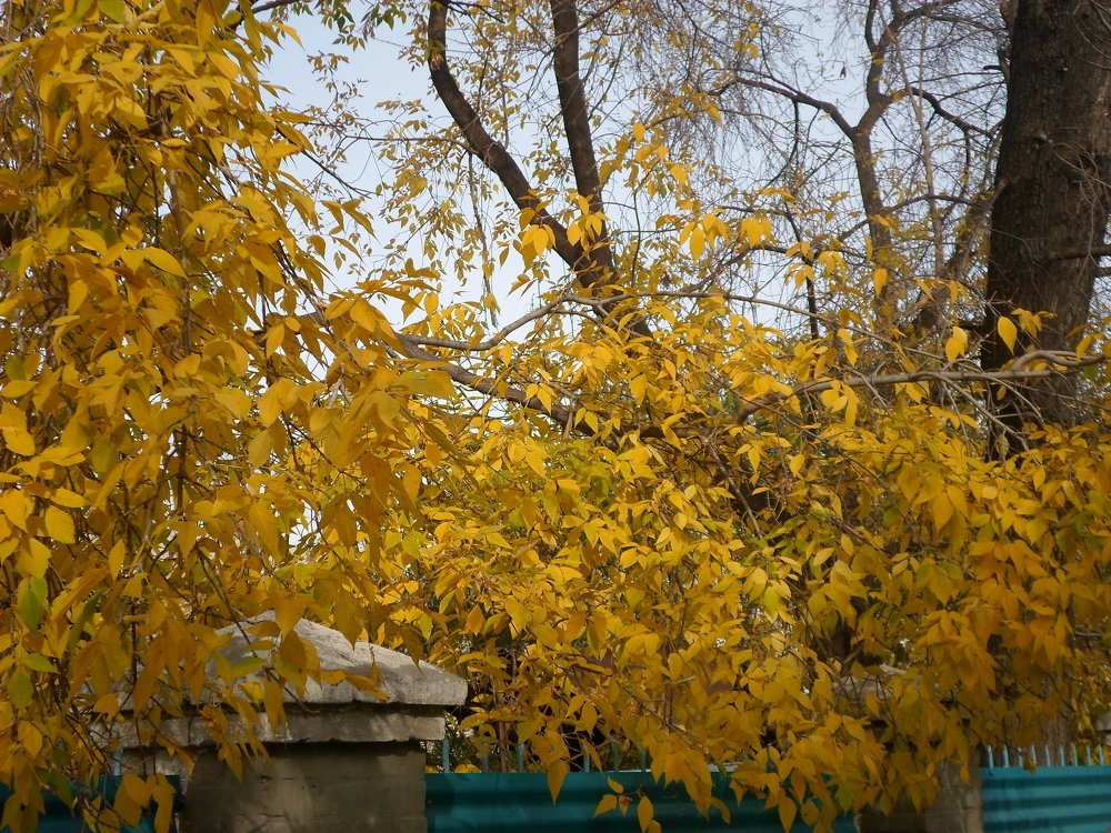 осень на пороге