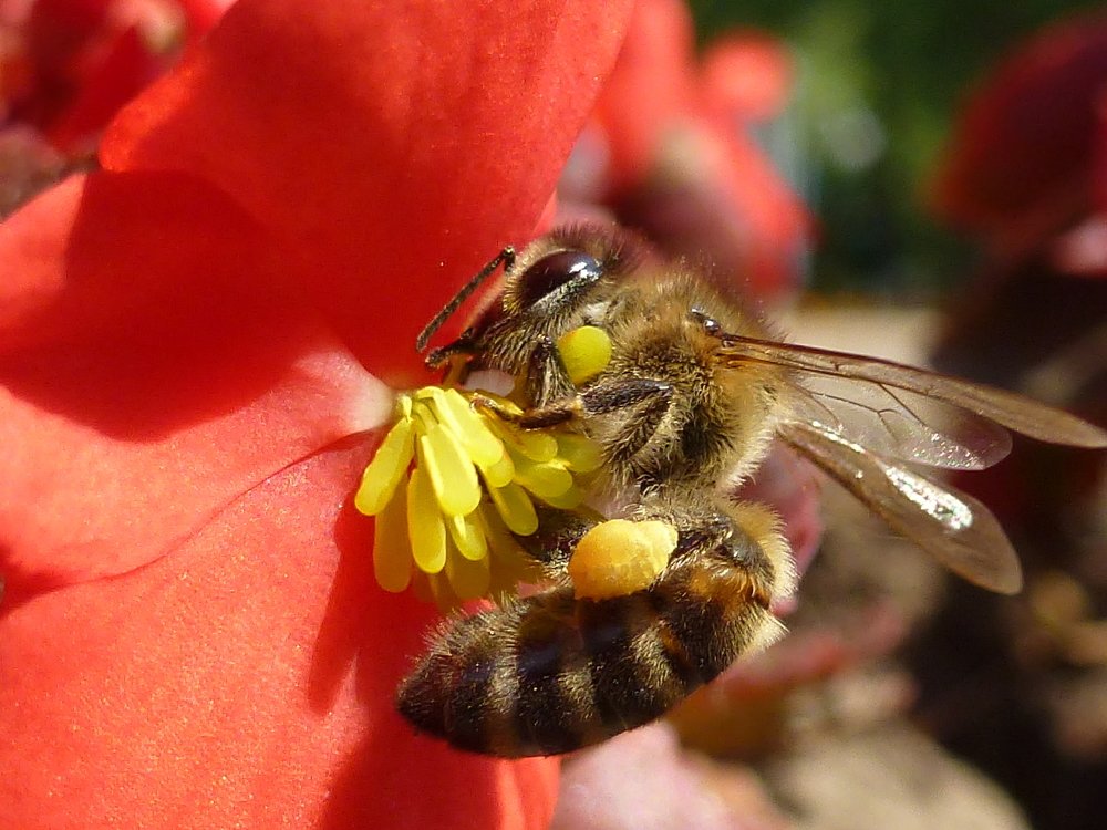 Рабочий день