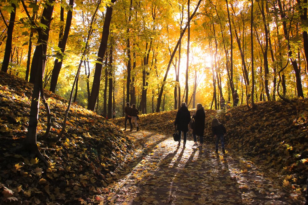 В Нескучном саду