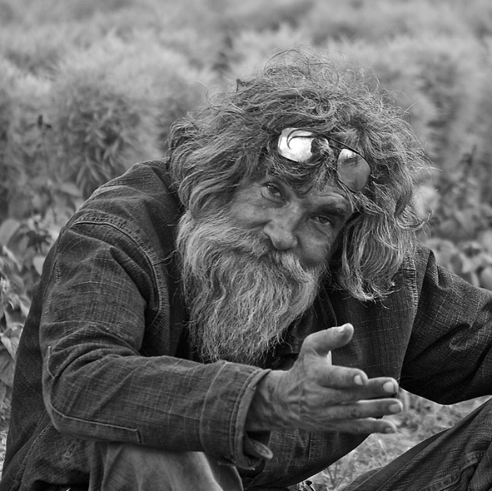 Интелегент