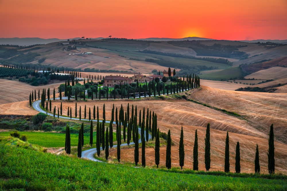 Under the Tuscan Sun