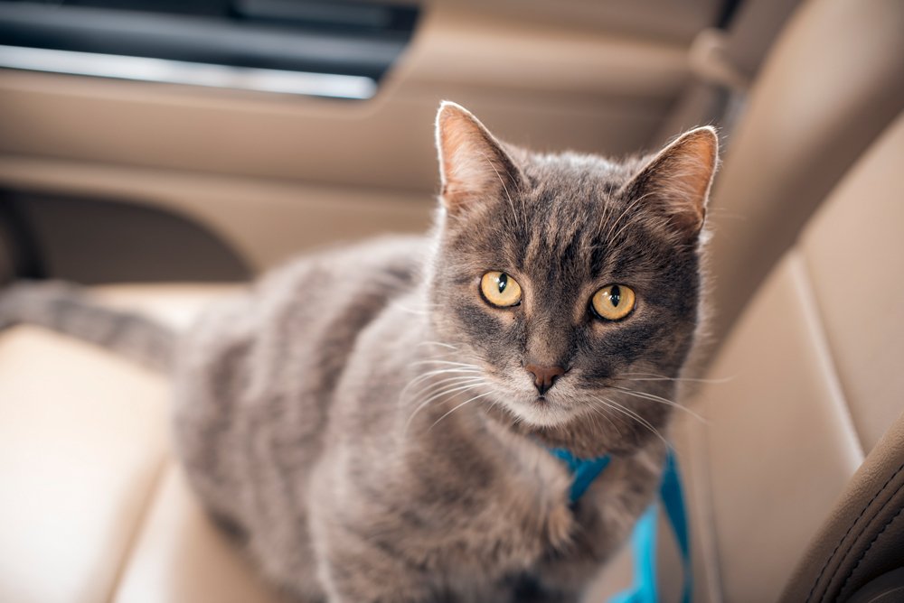 Photograph by Кирилл Огинов