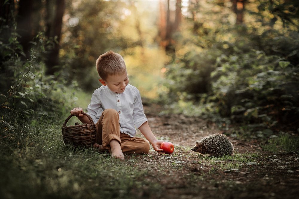 Матвейка и лесной дружок
