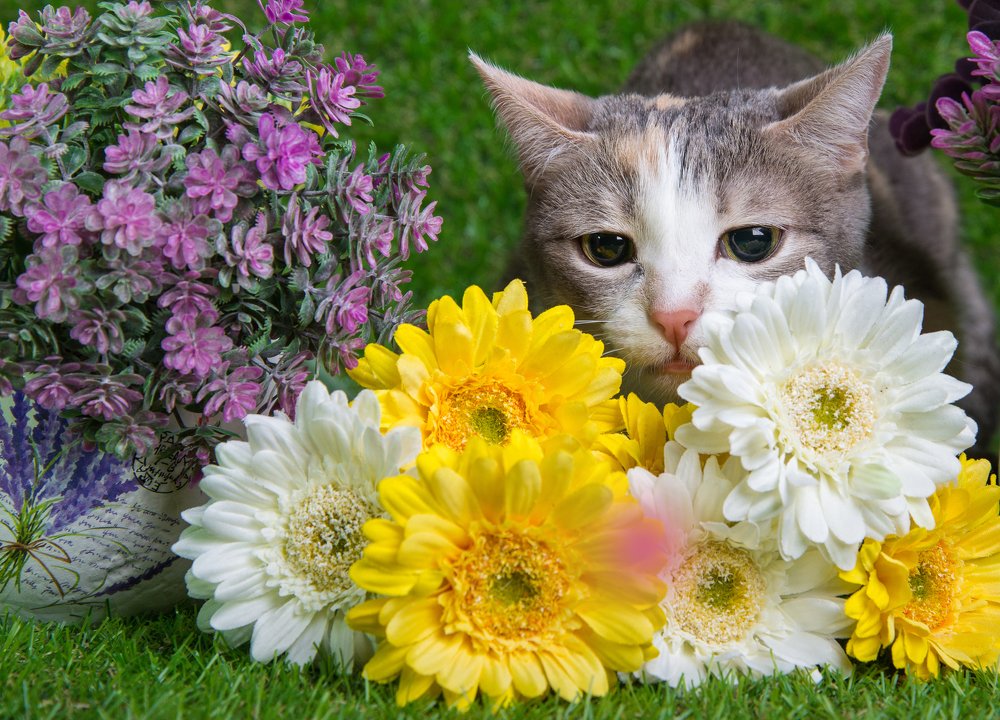 Photograph by Ида Зубова