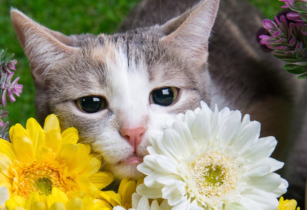 Photograph by Ида Зубова