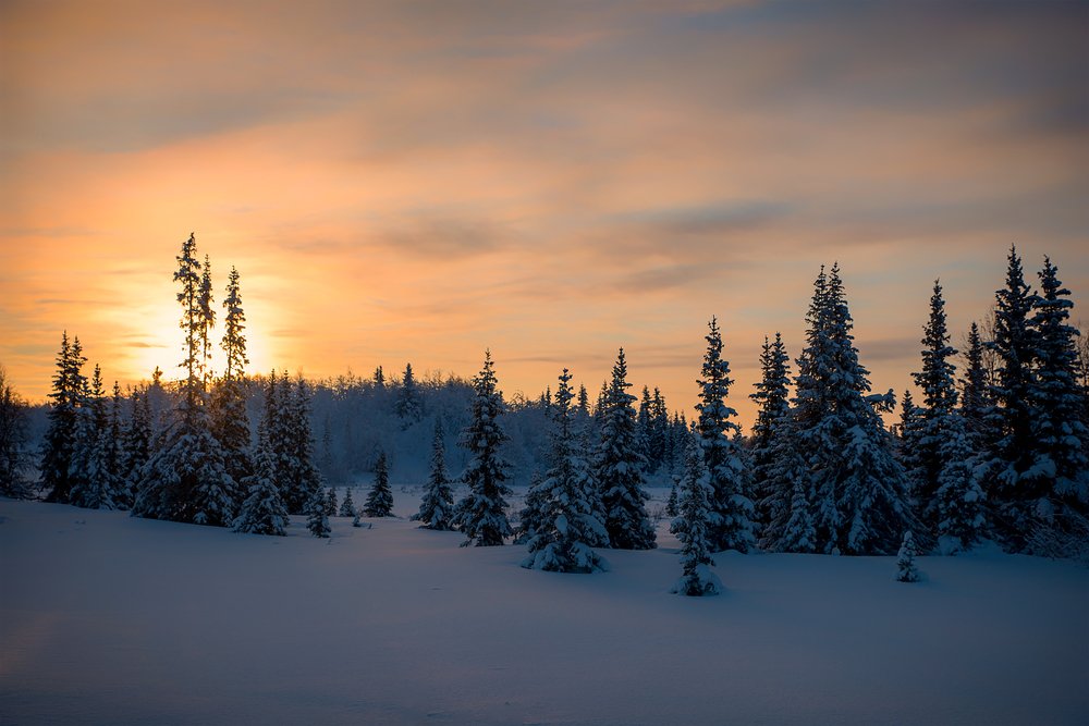 Фотография автора Василий Чобот
