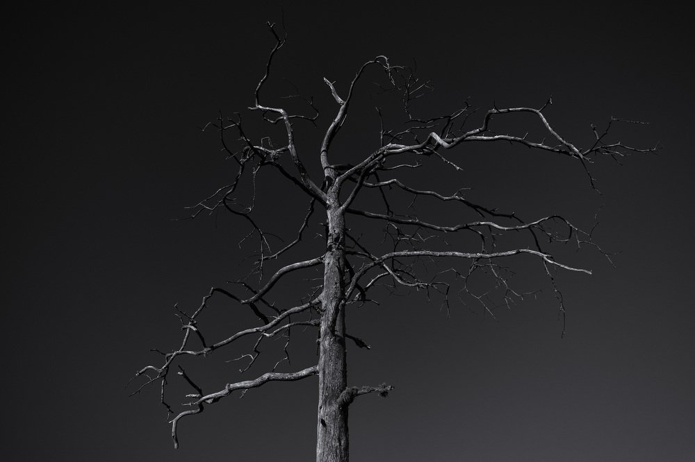 Время съедает всё.