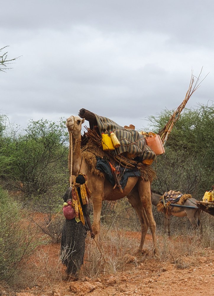 The power of a Pastoralist mother.