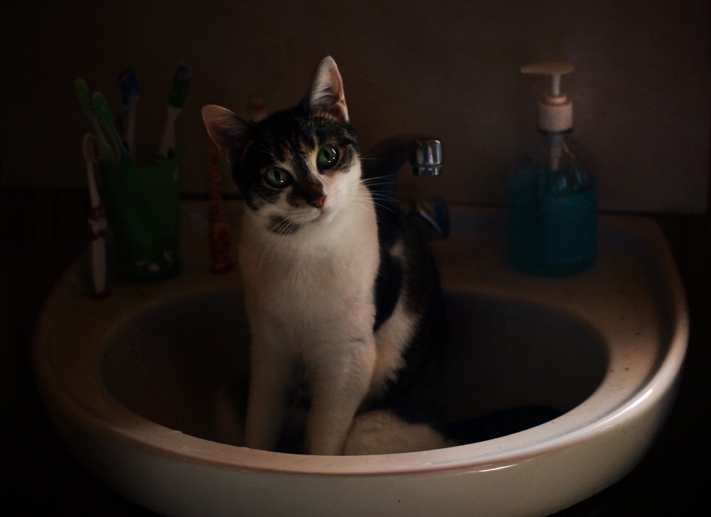 Photograph by Ирина Семячкова