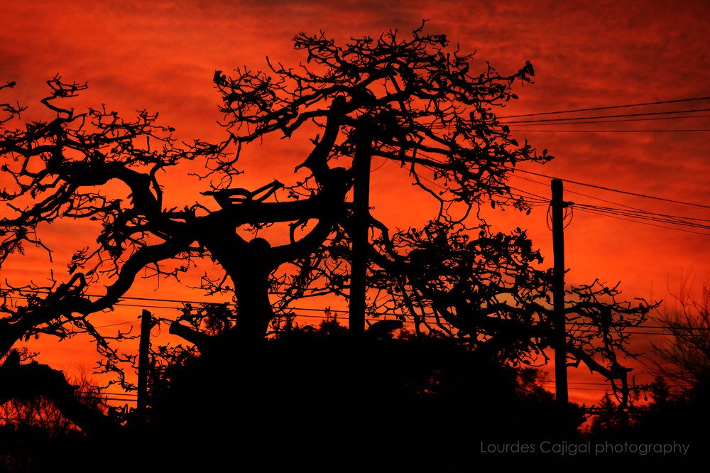 The Universe  is perfect