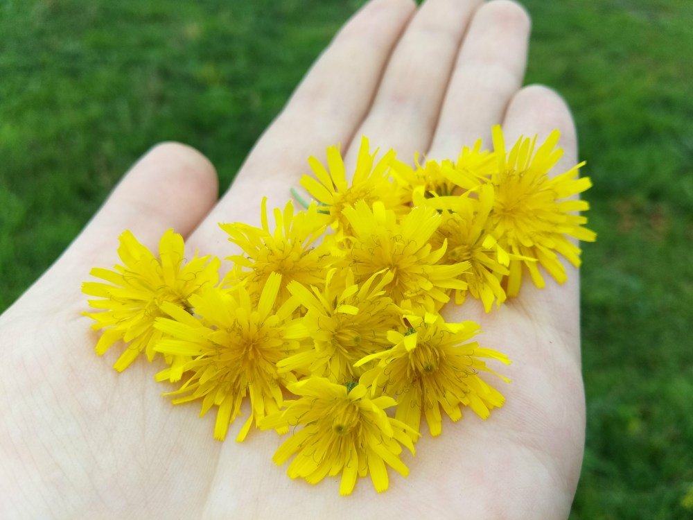 Photograph by Любовь Осипова