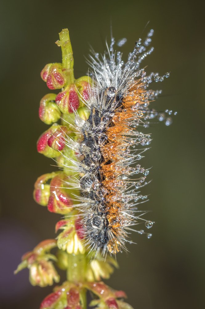 Фотография автора Nikolay Tatarchuk