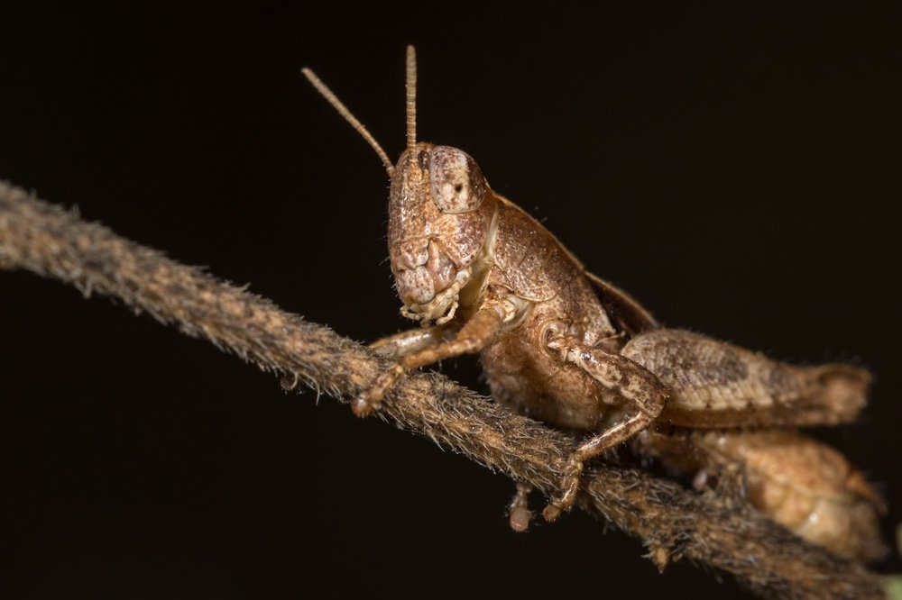 Фотография автора Nikolay Tatarchuk