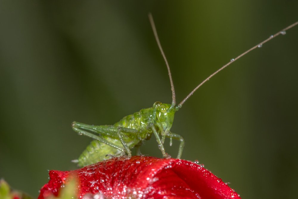 Фотография автора Nikolay Tatarchuk