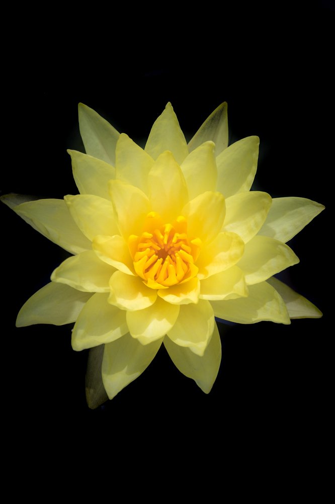 Фотография автора Nikolay Tatarchuk