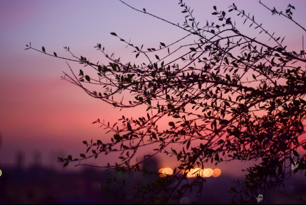 Another day is over from my life