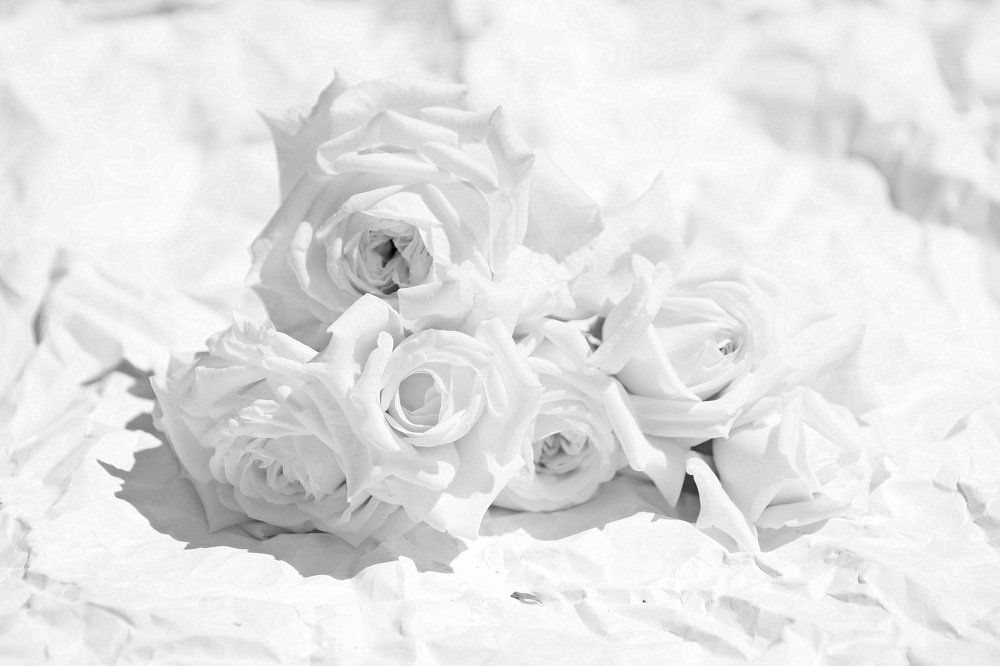 Рисование белым по белому ватману.JPG