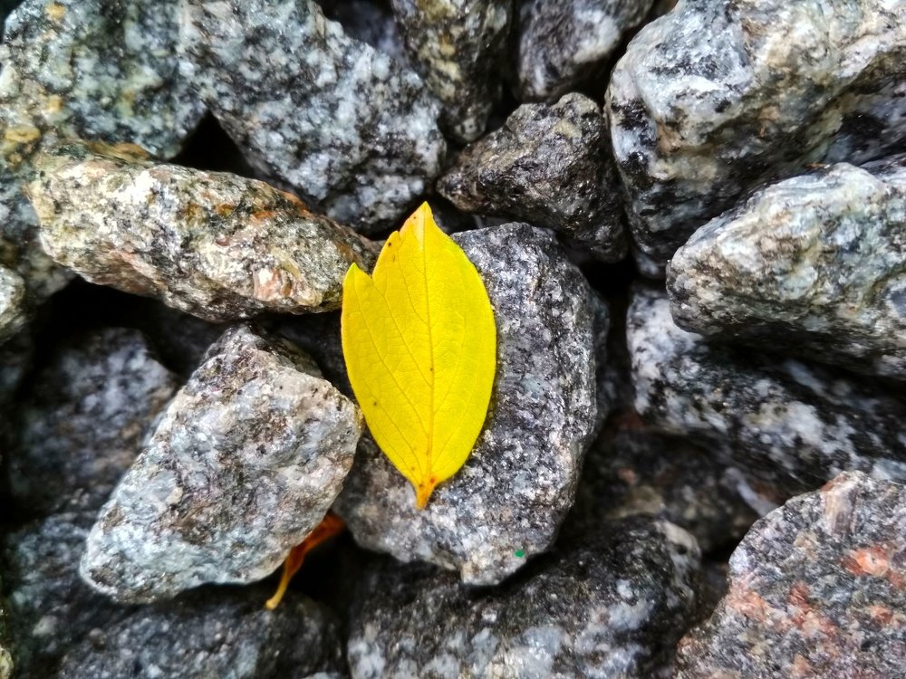 Photograph by Вадим Довбиш