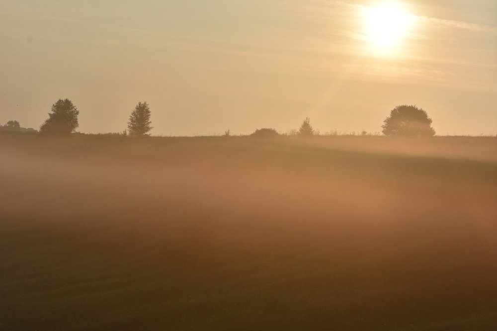 Раннее утро