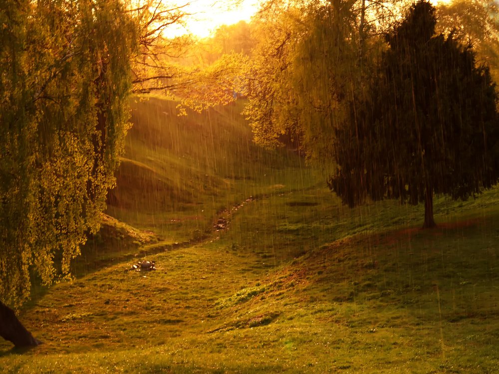 Смех сквозь слезы