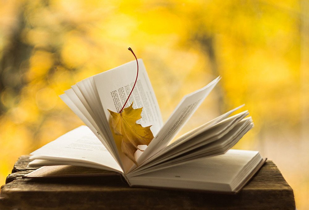 кленовый лист...