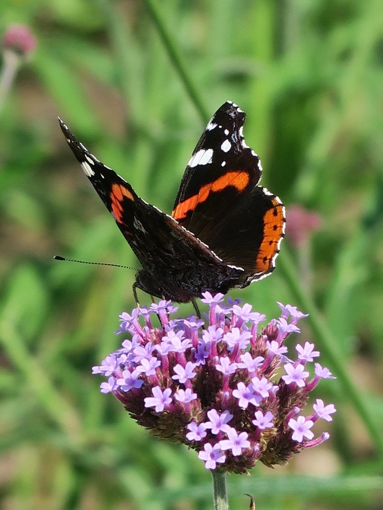 Photograph by Elena Nadeeva