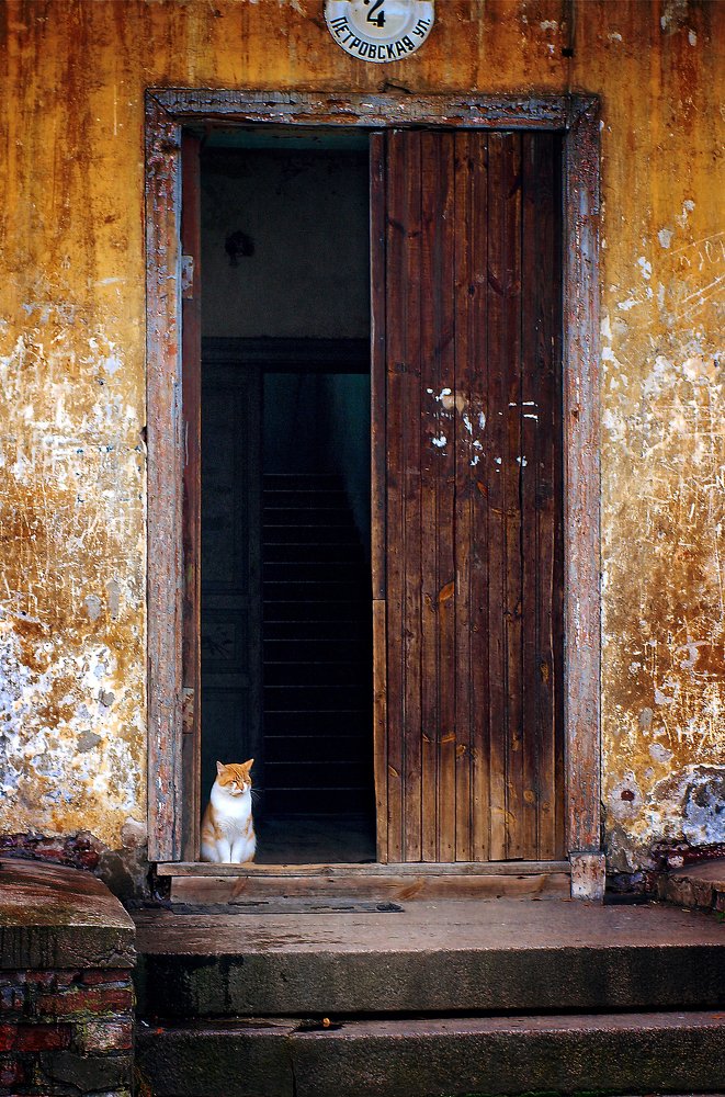 Такая жизнь