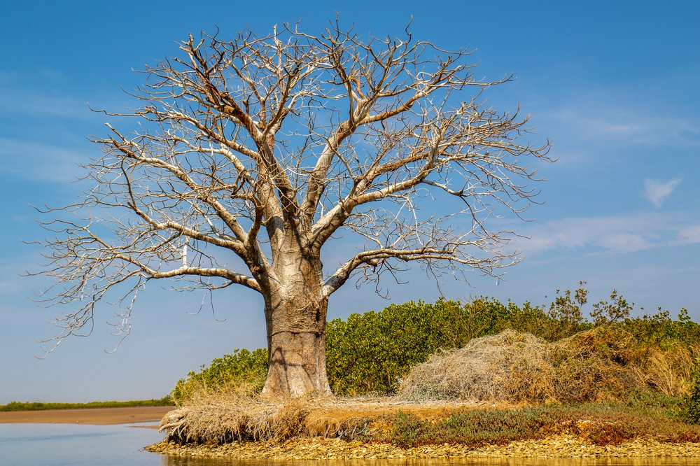 Photograph by Papa youssoupha seck Pyspic