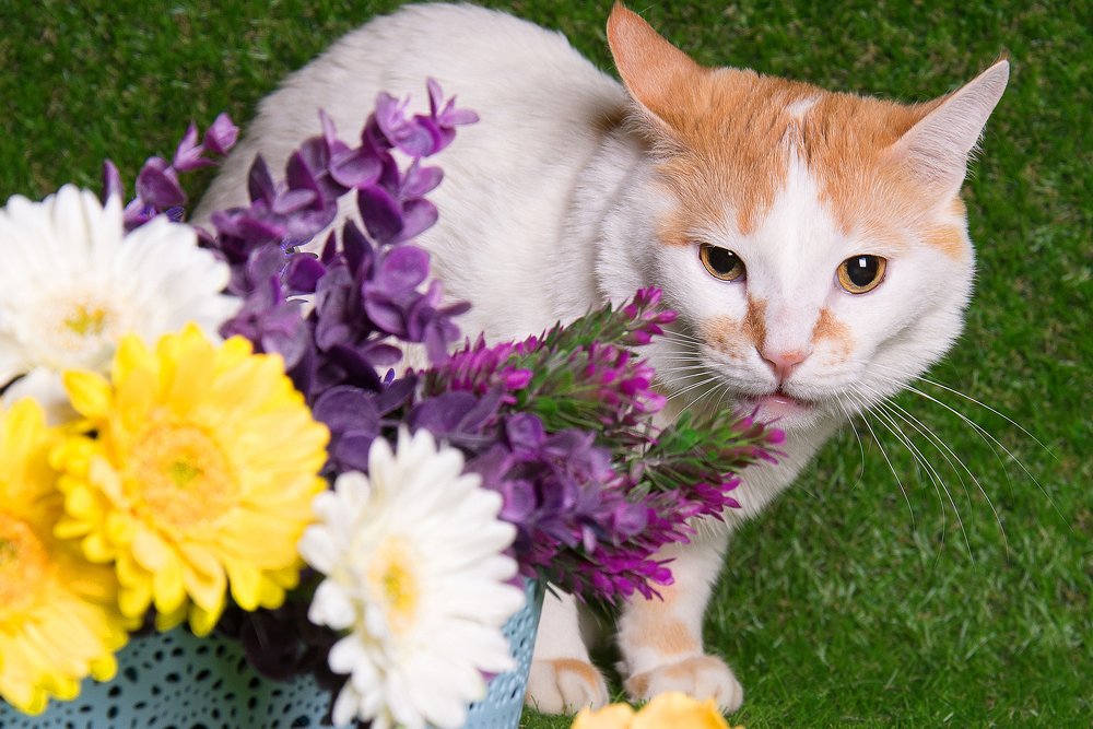 Photograph by Ида Зубова