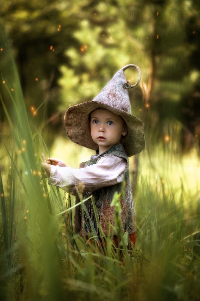 Лесной гномик