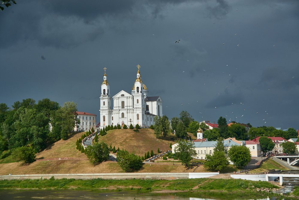 Чайки над городом