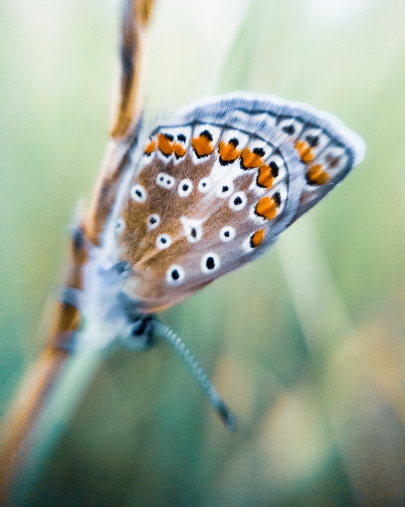 Photograph by Евгений Журихин